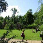 Fêtes de Plantes 2023 à Chavaniac-Lafayette des 3 & 4 juin 2023 - Une aire de jeux