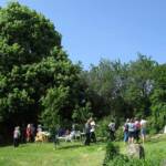Ouverture de nos jardins des 17 & 18 juin 2023 - Le Jardin du Petit Prince chez Thérèse - le buffet et les boissons : point de ralliement obligé sous l'ombrage