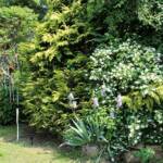 Ouverture de nos jardins des 17 & 18 juin 2023 - jardin de Gilbert & Mado - Faites un voeux, toucher les rubans et faites tinter le carillon