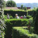 Visite à Ambert du 24 juin - Le Jardin du citoyen Romain chez Denise VIGNY - dédale de verdure