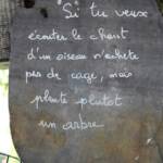 Ouverture de nos jardins des 17 & 18 juin 2023 - Le Jardin de Marie-France - cela caractérise bien l'esprit que souhaite monter Marie-France de son lieu de vie