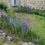 Ouverture de nos jardins des 17 & 18 juin 2023 - Le Jardin du Petit Prince chez Thérèse - Hysopes & roses