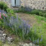 Ouverture de nos jardins des 17 & 18 juin 2023 - Le Jardin du Petit Prince chez Thérèse - Hysopes & roses