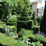Visite à Ambert du 24 juin - Le Jardin du citoyen Romain chez Denise VIGNY - Les buis & ifs en majesté