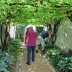 isite à Ambert du 24 juin - Le Jardin du citoyen Romain chez Denise VIGNY - Début de visite sous la tonnelle de vigne
