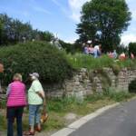 Ouverture de nos jardins des 17 & 18 juin 2023 - Le Jardin du Petit Prince chez Thérèse - Affluence record pour la promenade dominicale