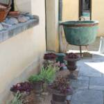 Visite à Ambert du 24 juin - Le Jardin du citoyen Romain chez Denise VIGNY - Le chaudron et les cactées