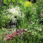 Ouverture de nos jardins des 17 & 18 juin 2023 - jardin de Gilbert & Mado - Heuchères, saule crevette et petit personnage qui se fait discret