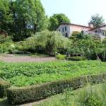 Ouverture de nos jardins des 17 & 18 juin 2023 - jardin de Gilbert & Mado - jardin potager structuré de haies de buis
