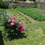 Ouverture de nos jardins des 17 & 18 juin 2023 - Le Jardin de Quentin - Autre de vue du potager