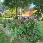 Visite aux jardins des Uffernets du samedi 08 juillet 2023 - 14