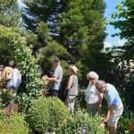 Sortie au village de la Panouse du 10 juillet 2023 - A la file indienne