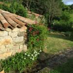 "Les artistes sont au jardin" - Journées des 30 juin & 01 juillet - La clématite sur le four à pain