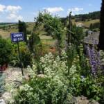 Sortie au village de la Panouse du 10 juillet 2023 - Le chemin du clos