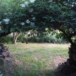 "Les artistes sont au jardin" - Journées des 30 juin & 01 juillet - L'arche aux rubans & clochette