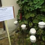 "Les artistes sont au jardin" - Journées des 30 juin & 01 juillet - Poteries RAKU de Muriel Haond