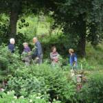 "Les artistes sont au jardin" - Journées des 30 juin & 01 juillet - Remontée vers le spectacle qui se profile