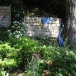 Sortie au village de la Panouse du 10 juillet 2023 - sans doute de quoi se nourrir là dedans