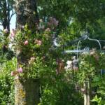 Visite aux jardins des Uffernets du samedi 08 juillet 2023 - 5