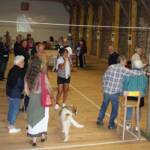 "Les artistes sont au jardin" - Journées des 30 juin & 01 juillet - Ou il n'est question que de vitraux