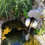 Sortie au village de la Panouse du 10 juillet 2023 - La fontaine