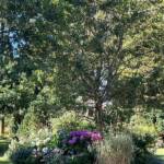 Visite du "Jardin des érables" aux Uffernets en Haute-Loire du dimanche 14 août 2023