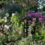 Visite du "Jardin des érables" aux Uffernets en Haute-Loire du dimanche 14 août 2023