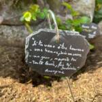 Visite du "Jardin des érables" aux Uffernets en Haute-Loire du dimanche 06 août 2023 - Photo 15