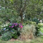 Visite du "Jardin des érables" aux Uffernets en Haute-Loire du dimanche 06 août 2023 - Photo 16