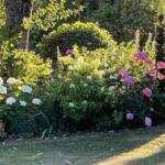 Visite du "Jardin des érables" aux Uffernets en Haute-Loire du dimanche 14 août 2023