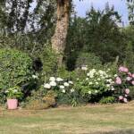 Visite du "Jardin des érables" aux Uffernets en Haute-Loire du dimanche 14 août 2023