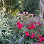 Visite du "Jardin des érables" aux Uffernets en Haute-Loire du dimanche 14 août 2023