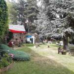 Causerie du samedi 29 juillet 2023 consacrée aux "Arbres d'ici et d'Afrique" - Tout est en ordre avec le chant des oiseaux