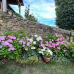 Visite du "Jardin des érables" aux Uffernets en Haute-Loire du dimanche 14 août 2023