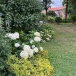 Visite du "Jardin des érables" aux Uffernets en Haute-Loire du dimanche 06 août 2023 - Photo 7