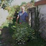 Atelier taille de 2 arbres du mercredi 11 octobre 2023 - Evacuation : Norbert à l'ouvrage !