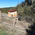 Le poulailler de compétition Atelier Troc de plants & graines du 07 octobre 2023 - Le poulailler de compétition