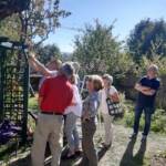 Atelier taille de 2 arbres du mercredi 11 octobre 2023 - Où couper pour les futurs bourgeons ?