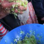 "La lactofermentation appliquée à la choucroute", atelier du samedi 14 octobre 2023 - On imagine que les mains ont été nettoyées avant