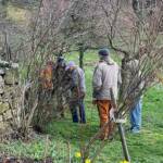 Atelier Taille des rosiers du Samedi 30 mars 2024 Atelier Taille des rosiers du Samedi 30 mars 2024 - Début des cours pratiques bien emmitouflés