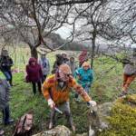 Atelier Taille des rosiers du Samedi 30 mars 2024 Atelier Taille des rosiers du Samedi 30 mars 2024 - Jacky est à l'ouvrage