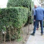 Atelier Plessis du samedi 6 avril 2024 chez René Atelier Plessis du samedi 6 avril 2024 chez René - On se remet à la tâche