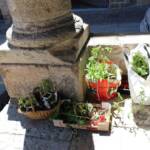 Atelier troc de printemps du samedi 11 mai 2024 Atelier troc de printemps du samedi 11 mai 2024 - Stockage pour aller chercher la voiture