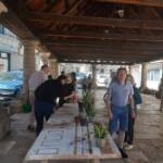 Atelier troc de printemps du samedi 11 mai 2024 Atelier troc de printemps du samedi 11 mai 2024 - Tout a trouvé preneur - 15h45