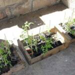 Atelier troc de printemps du samedi 11 mai 2024 Atelier troc de printemps du samedi 11 mai 2024 - Un aperçu de quelques produits