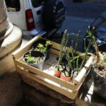 Atelier troc de printemps du samedi 11 mai 2024 Atelier troc de printemps du samedi 11 mai 2024 - Ceux-ci ont trouvé immédiatement preneurs