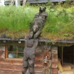 Sortie chez Vincent Bernard au Savignier du 15 juin 2024 - La grimpette des ours