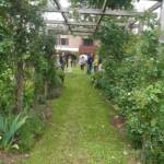 Ouvertures du jardin des Uffernets le samedi 29 juin 2024 - Perspective sous la tonnelle de rosiers