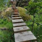 Sortie chez Vincent Bernard au Savignier du 15 juin 2024 - L'ascension