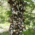 Sortie chez Vincent Bernard au Savignier du 15 juin 2024 - L'arbre aux trophées